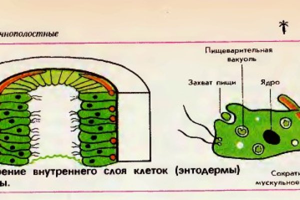 Кракен зеркало на тор