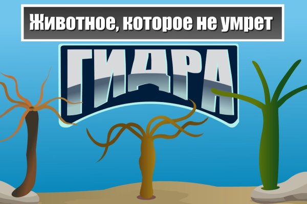 Кракен без тор