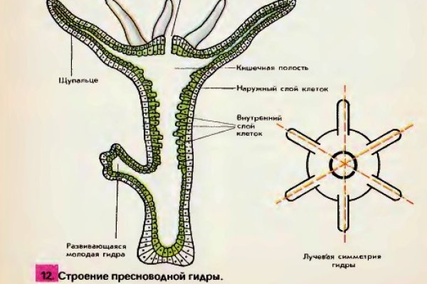 Кракен короткая ссылка